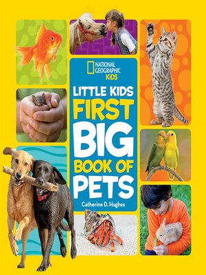 cover image of Little Kids First Big Book of Pets